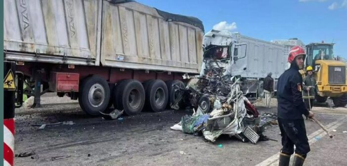 ট্রাক-পিকআপ ভয়াবহ সংঘষে মিশরে নিহত- ১৮