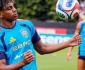 ইয়ামালকে নিয়ে সুখবর দিলেন স্পেন কোচ