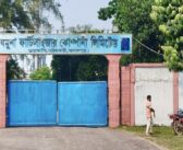 ৮ মাস পর যমুনা সার কারখানায় আবারো সার উৎপাদন শুরু